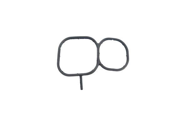 BTS-2L4905 Oil Cooler Seal for Paccar