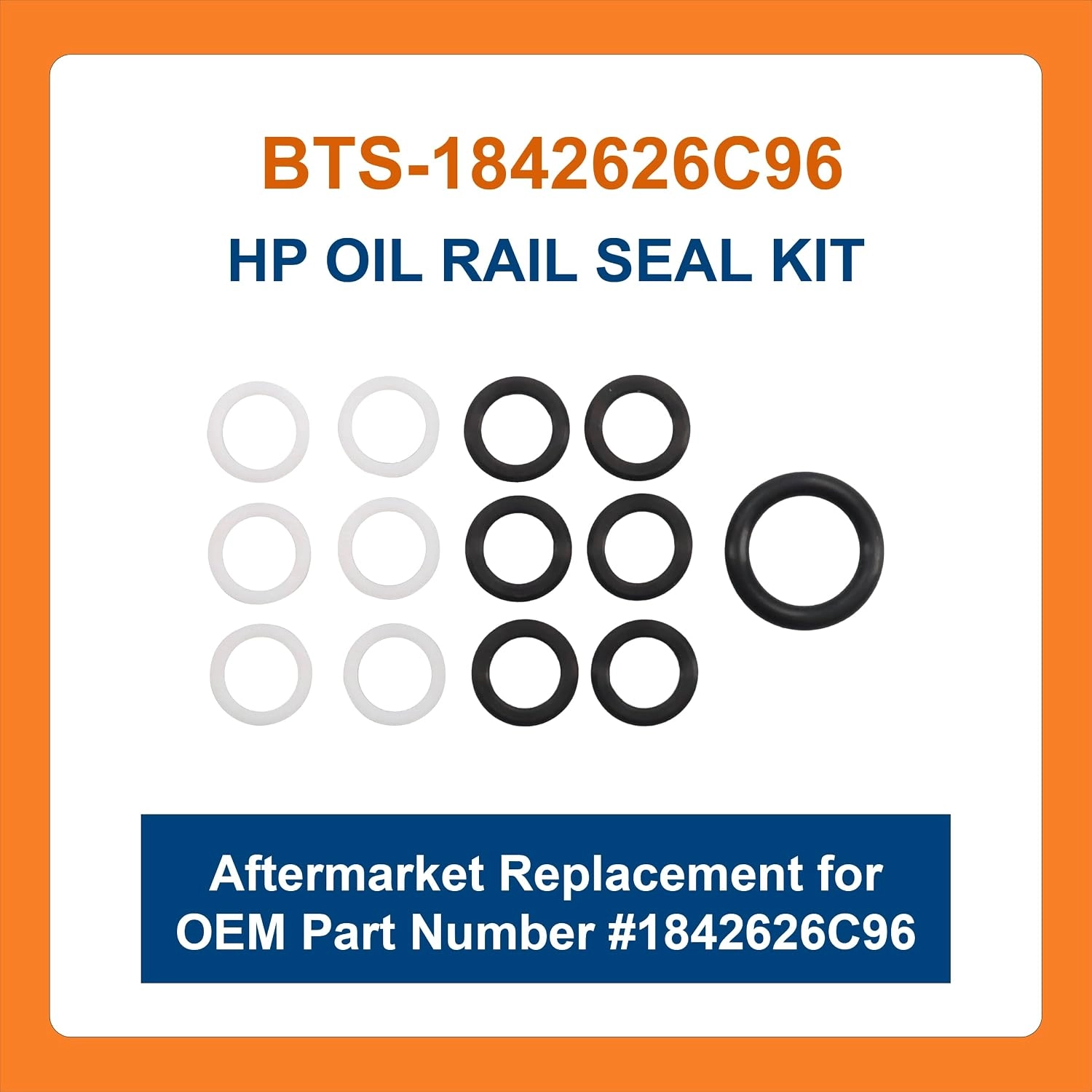 BTS-1842626C96 HP Oil Rail Seal Kit for Navistar - 1 BTS-1842626C96 HP Oil Rail Seal Kit for Navistar
