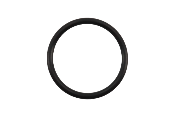 BTS-1844934C1 Injector Upper O-Ring for Navistar - Bear the Sealer